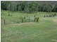 35 Misty Gums Drive, Apple Tree Creek QLD 4660