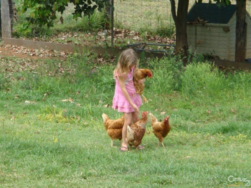 35 Misty Gums Drive, Apple Tree Creek QLD 4660