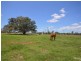 lot 2 Luckes Road, Bucca QLD 4670