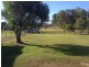 13 Musgrave Street, Avondale QLD 4670