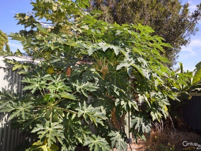 1 Kolan Street, Bundaberg North QLD 4670