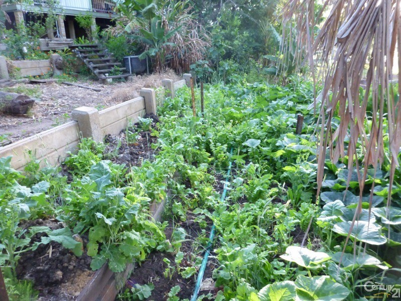 1 Kolan Street, Bundaberg North QLD 4670