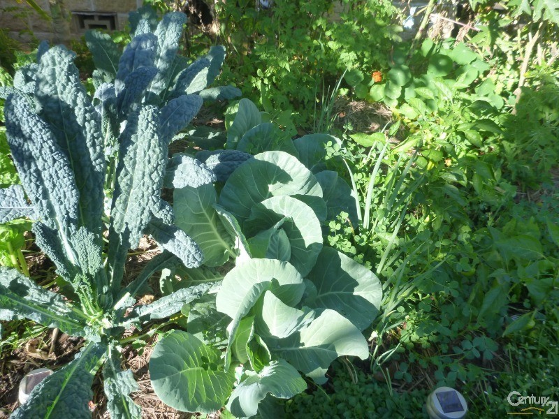 1 Kolan Street, Bundaberg North QLD 4670