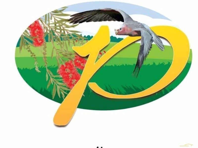 12 Diamantina Drive, Branyan QLD 4670