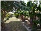 26 Wainwright Street, Svensson Heights QLD 4670