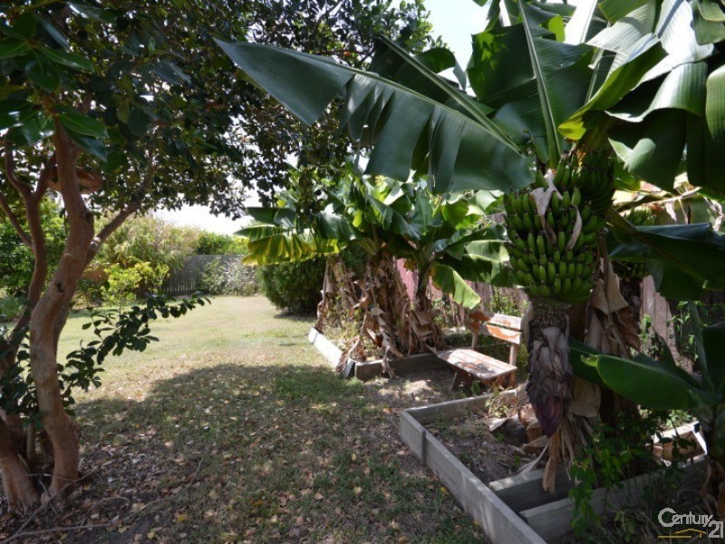 26 Wainwright Street, Svensson Heights QLD 4670