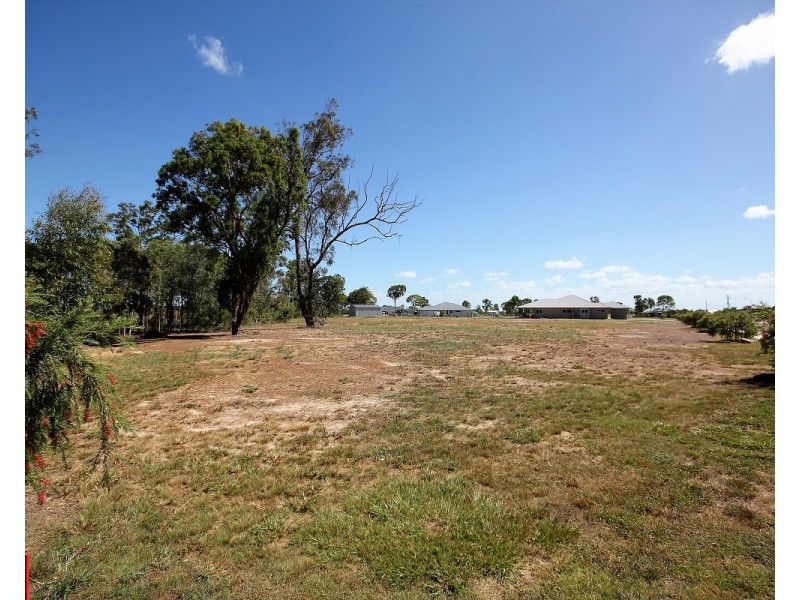 56 Polo Place, Branyan QLD 4670