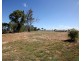 56 Polo Place, Branyan QLD 4670