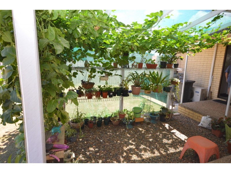 158 Avoca Road, Avoca QLD 4670