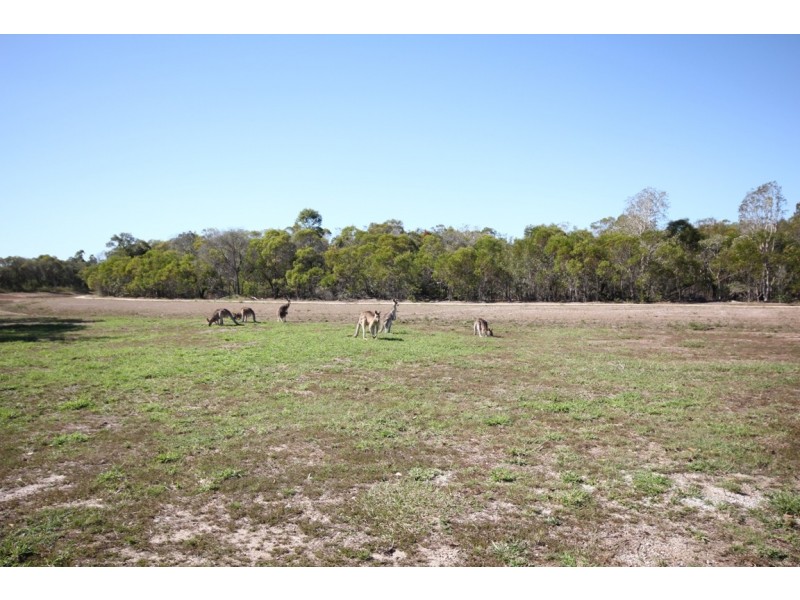 71 Polo Place, Branyan QLD 4670