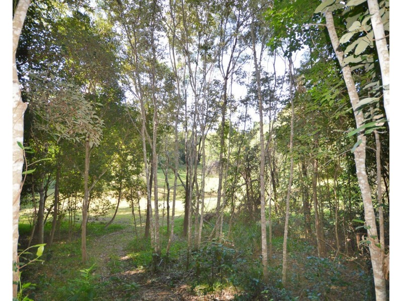 9  Bindara Court, Mullett Creek QLD 4670