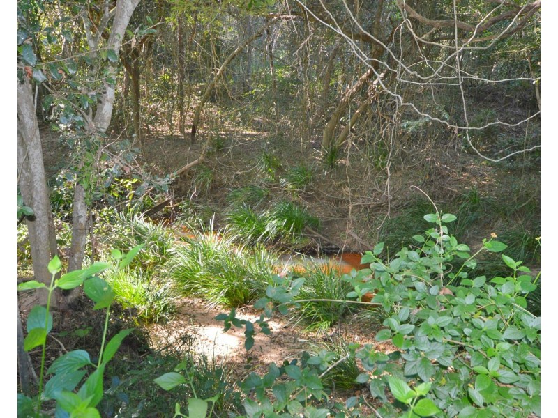 9  Bindara Court, Mullett Creek QLD 4670