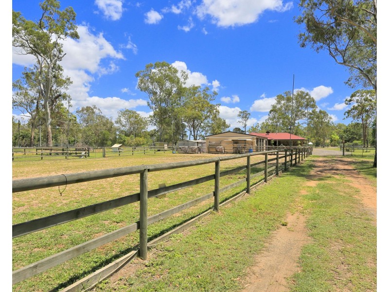 53 Pleasant Drive, Sharon QLD 4670