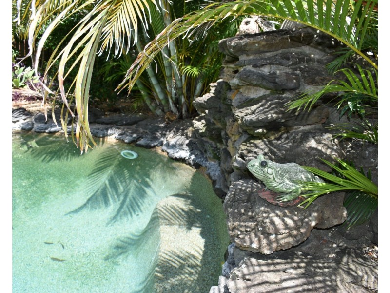 18  Willis Street, Sharon QLD 4670