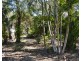 1 Possum Place, Gooburrum QLD 4670