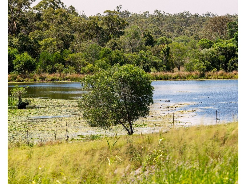 LOT 1 79 Abbotsford Mountain Road, Bucca QLD 4670