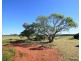LOT 1 79 Abbotsford Mountain Road, Bucca QLD 4670