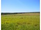 LOT 3 403 North Bucca Road, Bucca QLD 4670