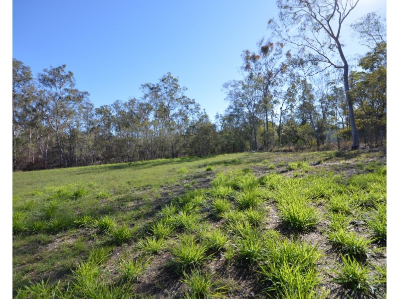 Lot 63 Tanderra Drive, South Kolan QLD 4670