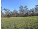 Lot 63 Tanderra Drive, South Kolan QLD 4670