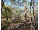 Lot 63 Tanderra Drive, South Kolan QLD 4670
