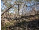 Lot 63 Tanderra Drive, South Kolan QLD 4670