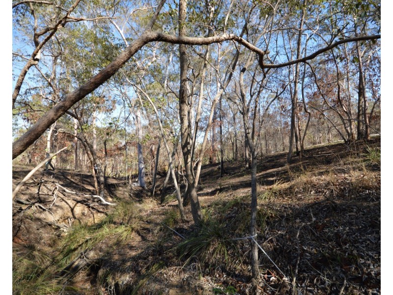 Lot 63 Tanderra Drive, South Kolan QLD 4670