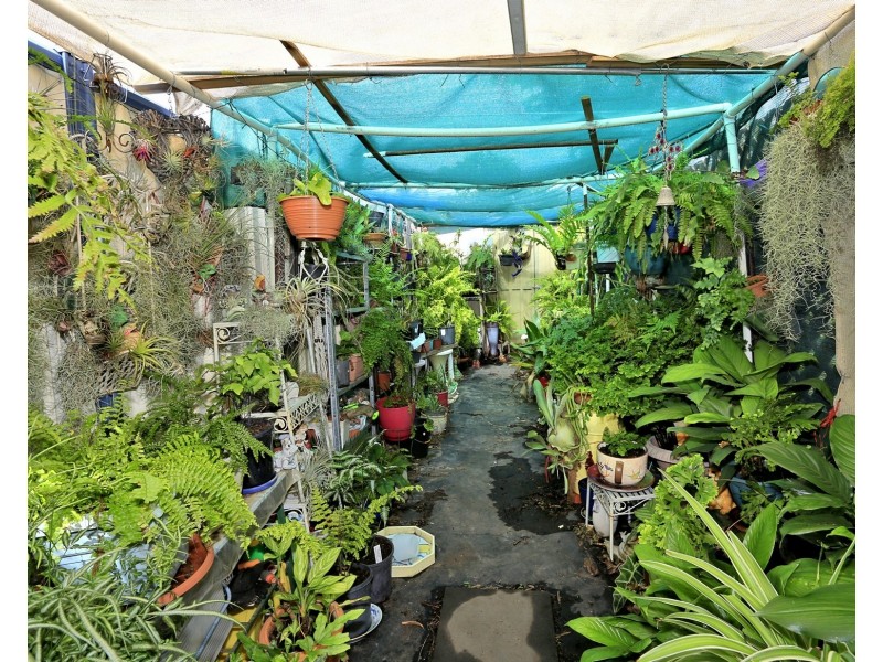 46 Wynter Street AKA 31 Mcneilly St, Norville QLD 4670