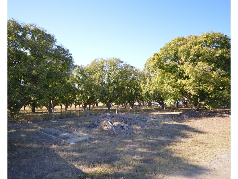 251 Mahogany Creek Road, Elliott QLD 4670