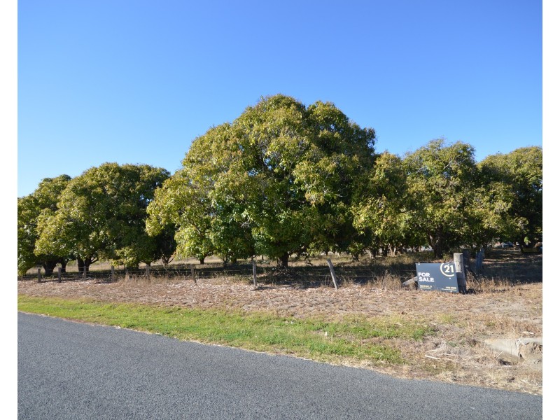 251 Mahogany Creek Road, Elliott QLD 4670