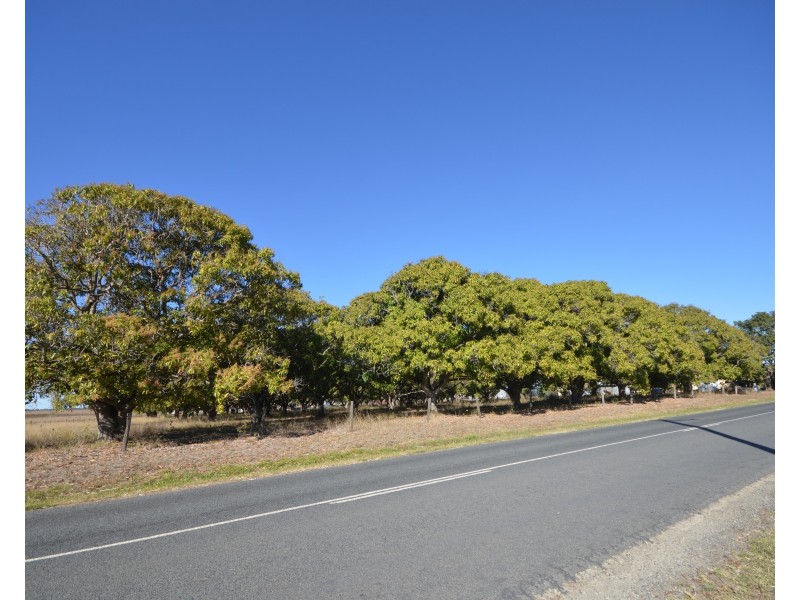 251 Mahogany Creek Road, Elliott QLD 4670