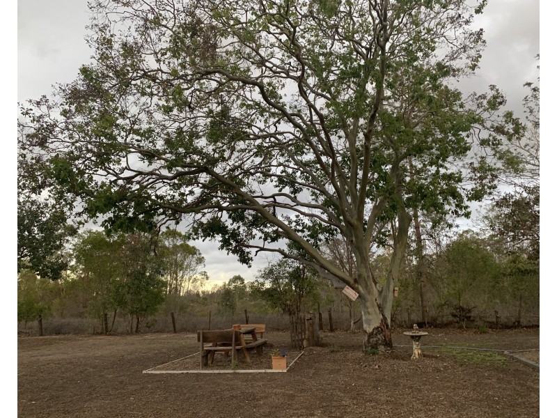 105 Haylocks Road, Pine Creek QLD 4670