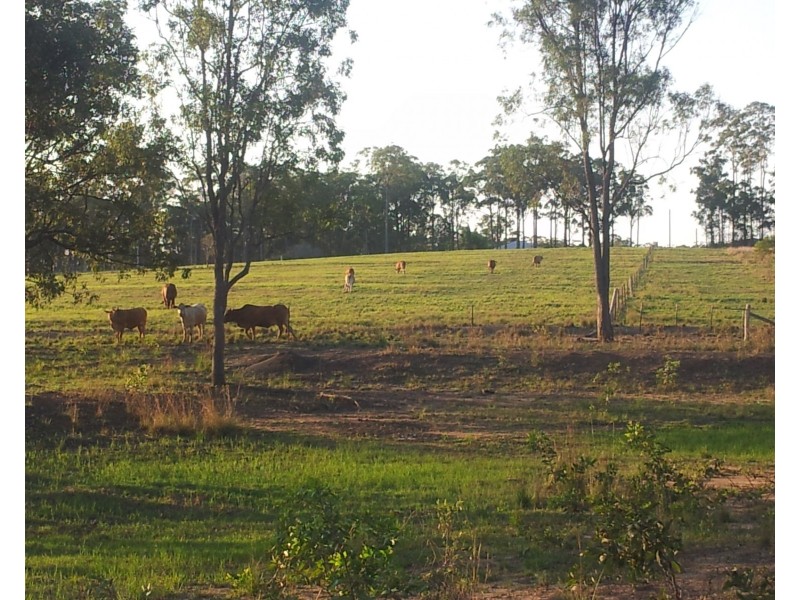 286 Boughtons Road, Bucca QLD 4670