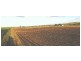 Gin Gin QLD 4671