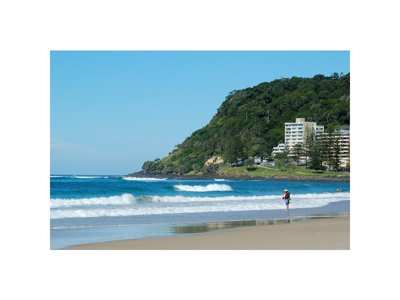 159 Acanthus Avenue, Burleigh Waters QLD 4220