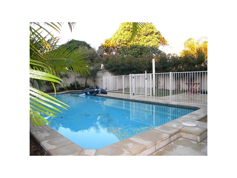 41 Albion Avenue, Miami QLD 4220