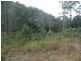 127 Crane Crescent, Nerang QLD 4211