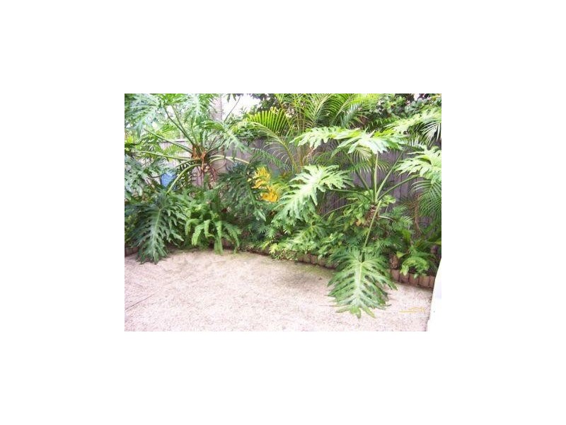 Mermaid Beach QLD 4218