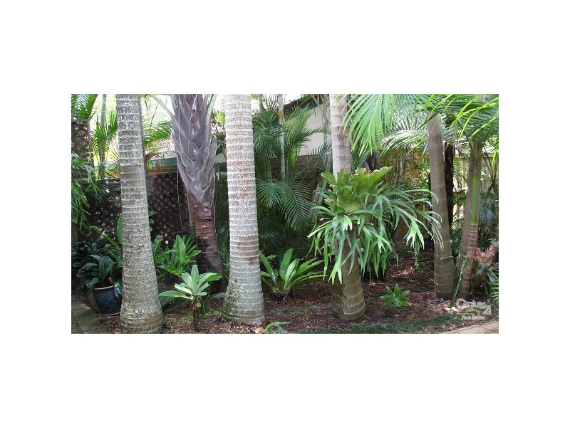 1/38 Killarney Avenue, Robina QLD 4226