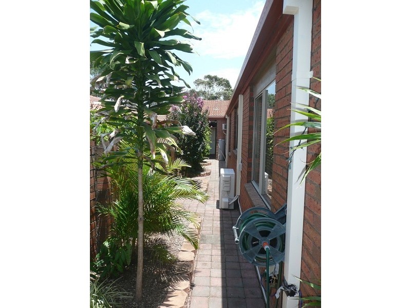 81 Cheltenham Drive, Robina QLD 4226
