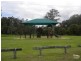 20 Lancashire Drive, Mudgeeraba QLD 4213
