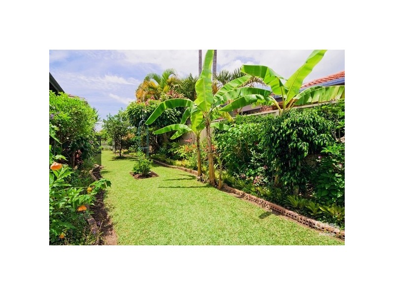 45 Dunlin Drive, Burleigh Waters QLD 4220