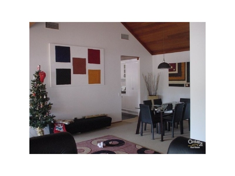 14 St Raphael Terrace, Bundall QLD 4217