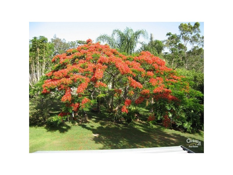 102 Bridgman Drive, Reedy Creek QLD 4227