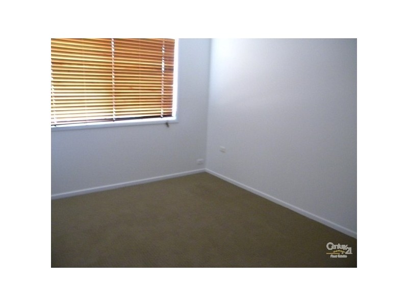 8 Pitta Place, Burleigh Waters QLD 4220