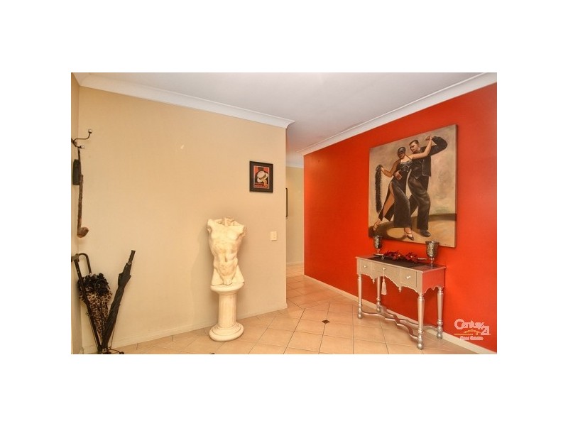 49 Grebe Place, Burleigh Waters QLD 4220