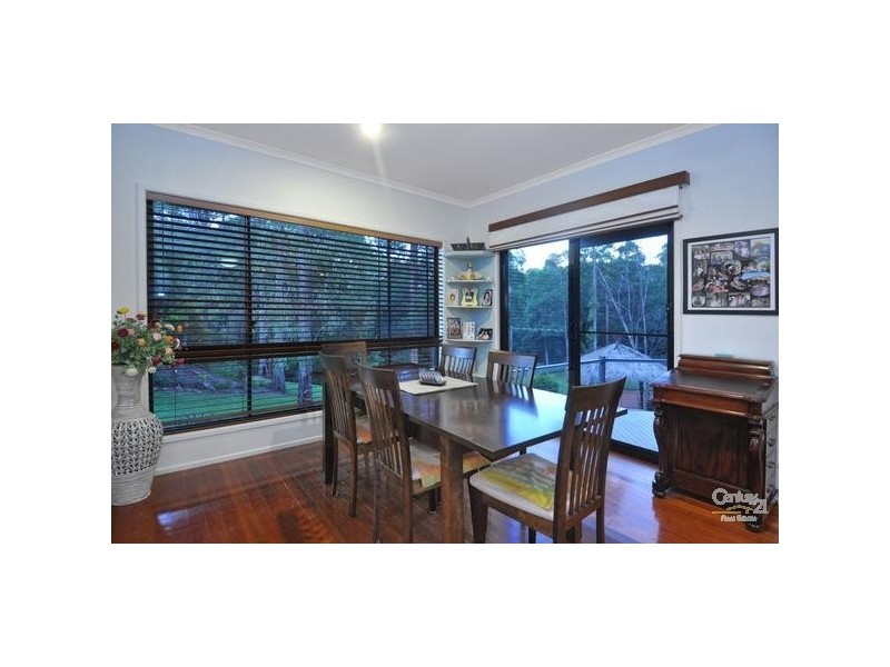 17 The Oval Drive, Mount Nathan QLD 4211