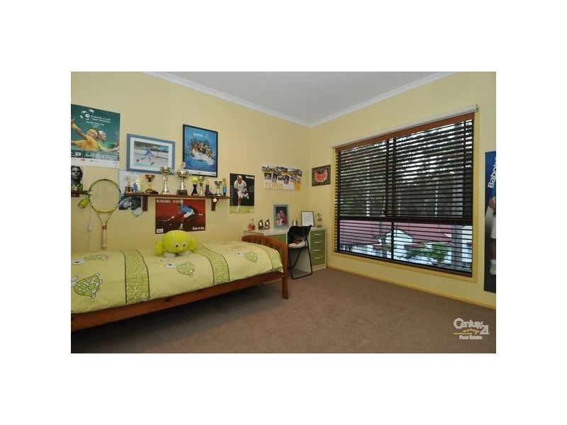 17 The Oval Drive, Mount Nathan QLD 4211