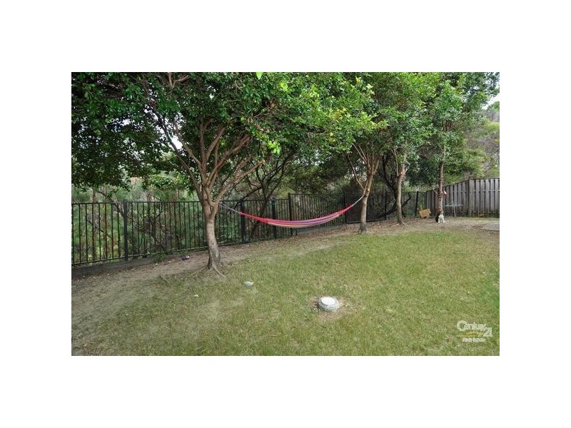 17 Dunstan Drive, Robina QLD 4226