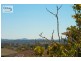 Camira QLD 4300